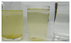 3.現場調査・水質分析